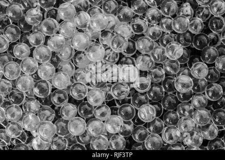 Acqua in bianco e nero le sfere di gel con bokeh di fondo. Il gel di polimero. Gel di silice. Sfere di nero e di bianco idrogel. Cristallo sfera di liquido con la riflessione. Nero e Foto Stock