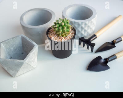 Impianto di Cactus in plastica nera pentola con vuoto calcestruzzo geometrica piantatrici e garden tool set su sfondo bianco con copia spazio, agricoltura concetto. Foto Stock