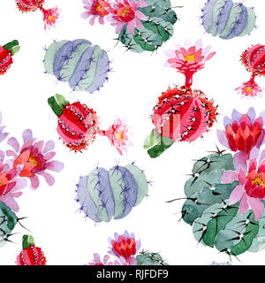 Verde Rosso cactus fiore botanica. Wild molla a balestra isolato. Illustrazione ad acquerello set. Disegno ad acquerello fashion aquarelle. Sfondo senza giunture Foto Stock