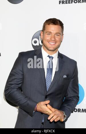 Colton Underwood presso gli arrivi per Disney ABC Television ospita: TCA Winter Press Tour 2019, il Langham Huntington, Pasadena, Pasadena, CA, 5 febbraio 2019. Foto di: Priscilla concedere/Everett Collection Foto Stock