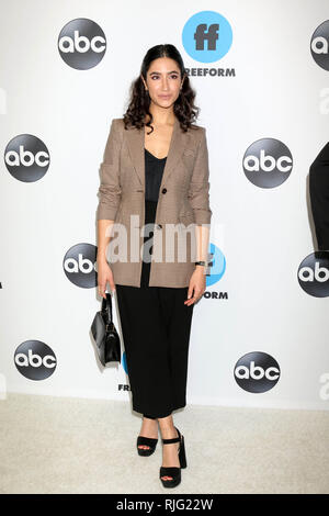 LOS ANGELES - Feb 5: Nikohl Boosheri presso il Disney ABC Television Winter press tour Foto chiamata al The Langham Huntington Hotel il 5 febbraio 2019 a Pasadena, CA Credito: David Edwards/MediaPunch Foto Stock