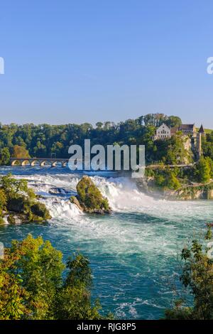 Cascate del Reno con Laufen Castello, a Sciaffusa, Cantone di Sciaffusa, Svizzera Foto Stock