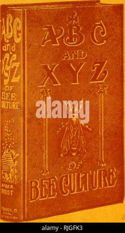 . Il apicoltori' review. La cultura delle api. Il manuale autorevole di apicoltura "ThTABCand X Y Z di Bee cultura il combinato delle edizioni di questo meraviglioso libro ora aggregare oltre 160.000 copie vendute. Questo volume contiene più di due volte il da- ta che sono contenuti in qualsiasi oth- er lavorare sull'apicoltura e stampato in quattro lingue, comprovanti il pop- ularity come autorità sul sub- ject di Apicutlure.. Si prega di notare che queste immagini vengono estratte dalla pagina sottoposta a scansione di immagini che possono essere state migliorate digitalmente per la leggibilità - Colorazione e aspetto di queste illustrazioni potrebbero non perfettamente rese Foto Stock