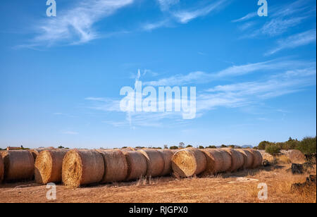Foto di tondo di balle di fieno al tramonto. Foto Stock