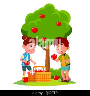 Bambini raccolta mele nel cesto vicino a Melo vettore. Illustrazione isolato Illustrazione Vettoriale