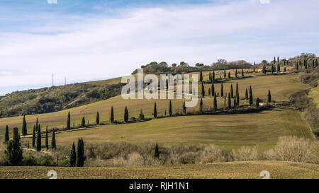 Bella delimitate da filari di cipressi country road in La Foce, Siena, Toscana, Italia Foto Stock