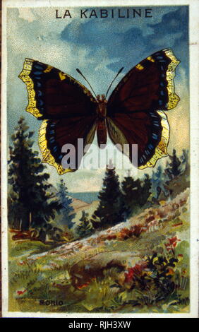 Butterfly di Arkady Alexandrovich Plastov (1893 - 1972); Russo socialista pittore realista Foto Stock