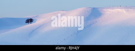 Lone Alberi su un paesaggio innevato Foto Stock