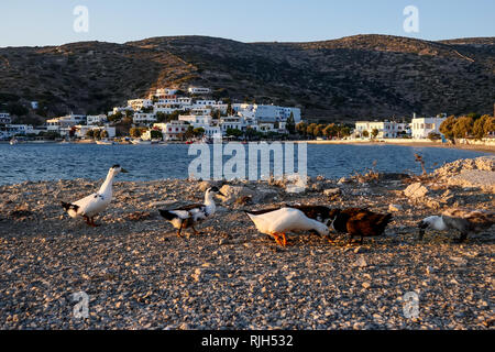 Amorgos, Grecia - 31 Luglio 2018: vista da una parte di Katapola in Amorgos Island, Grecia Foto Stock