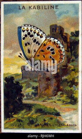 Butterfly di Arkady Alexandrovich Plastov (1893 - 1972); Russo socialista pittore realista Foto Stock