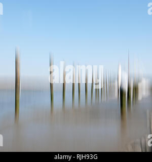 Poli nell'habor di Nordstrand nella stagione invernale, Nordfriesland, Schleswig-Holstein, Germania, Europa Foto Stock