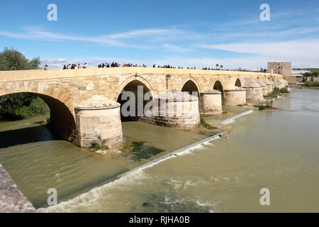 Romano i secolo ponte che attraversa il fiume Guadalquivir, torre di Calahorra in background, Puente Romano, Cordoba, Andalusia, Spagna, Europa Foto Stock