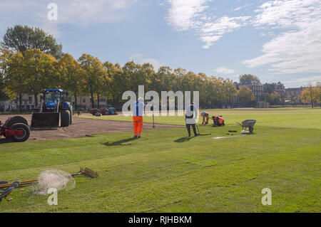 Amsterdam, Paesi Bassi, 11 Ottobre 2018: i lavoratori che stabilisce i rotoli di erba nel parco sulla giornata di sole Foto Stock