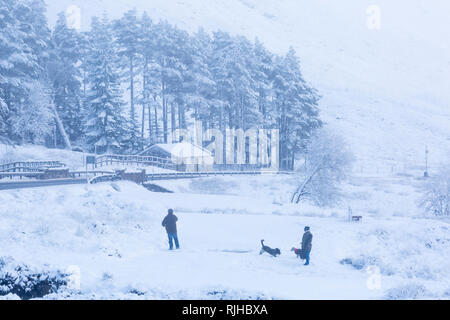 Giovane giocando con i cani nella neve in una fredda giornata invernale con neve e brina in corrispondenza di Rannoch Moor, Glencoe, Highlands scozzesi, Scotland Regno Unito nel gennaio Foto Stock