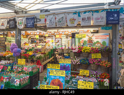 Amsterdam, Paesi Bassi, ottobre 10, 2018: il famoso mercato dei fiori di Amsterdam con souvenir turistici e fiori con i cartellini dei prezzi Foto Stock