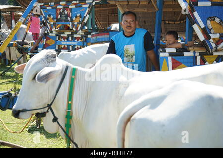 I proprietari di Sapi Gerobak, tradizionale Giavanese carrello vacca riuniti presso Jangkang mercato animale, Sleman, Yogyakarta ogni domenica mattina Foto Stock