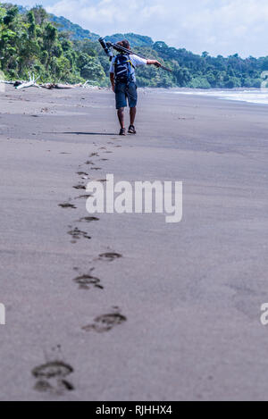 Una foto di una guida turistica che indossa un occhiale a piedi in distanza sulla splendida spiaggia di sabbia di l'appartato parco nazionale di Corcovado, Costa Rica Foto Stock