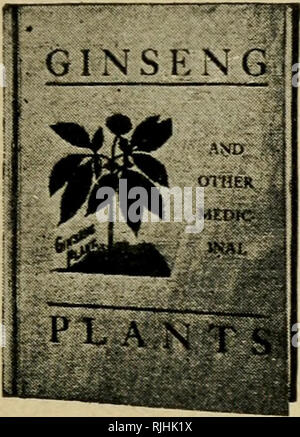 . Bee caccia. Un libro di informazioni preziose per i cacciatori di api--racconta come la linea di colonie di api per alberi, ecc. Le api. Il Ginseng e altre piante medicinali * ""*"""â ¢ -t.itH*^r.:"L"^.sÂ"'ISR.r6iri:"e"rc!'''''Â°-' "â¢â "â ¢ Il suo libro. Edizione riveduta, contiene 367 pagine e un centinaio di illustrazioni, 40 essere- ing Gniseng, mostrando questa pianta in var- ious stadi di sviluppo, sia coltivate e selvatiche; anche radici di diverse dimensioni e qualità con la spiegazione del valore, ecc. Anche 20 illus- trations di sigillo d'oro, che mostra le piante e le radici nelle diverse fasi della crescita. Circa 160 pagine Foto Stock