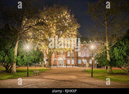 Albero con luci di notte fuori Akademiska edificio FORENINGEN AF-Borgen. Lund. Skane, in Scandinavia. La Svezia. Foto Stock