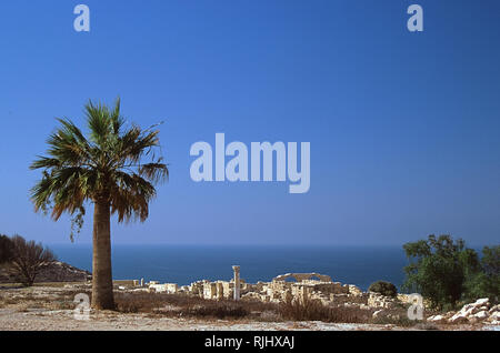 Palazzo del vescovo rimane, Kourion, Episkopi, Distretto di Limassol, Cipro: barilate pareti, archi, palme e una colonna in stile dorico contro il blu del Mediterraneo. Foto Stock