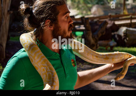 Un serpente all'Oasis Park a Fuerteventura Isole Canarie Foto Stock