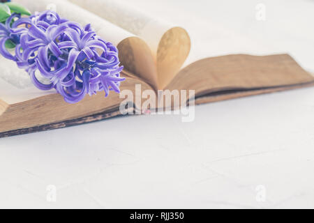 Vintage libro antico e giacinto su sfondo chiaro. Il concetto di nostalgia e di ricordi. Messa a fuoco selettiva, calore-pagine sagomate Foto Stock