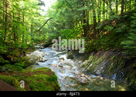 Una lunga esposizione cattura del Hancock ramo del Fiume Bianco. Texas Falls Area ricreativa, montagne verdi, Vermont Foto Stock