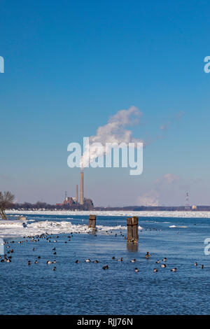 Marine City, Michigan - DTE Energy è una centrale a carbone St. Clair pianta di potere da parte degli Stati Uniti del ghiaccio-riempito St Clair River. Canvasback anatre nuotare nella ope Foto Stock