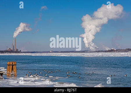 Marine City, Michigan - centrali a carbone e impianti chimici linea il ghiaccio-riempito St Clair River. Canvasback anatre nuotare in acque aperte vicino Foto Stock