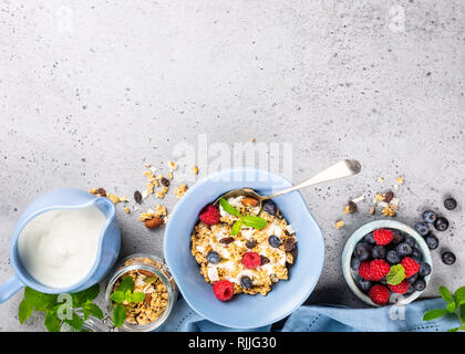 Oat granola con frutti di bosco e yogurt Foto Stock