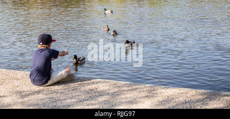Un ragazzo seduto sul bordo di un laghetto per dar da mangiare alle anatre. Foto Stock