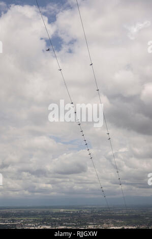 Vista di uccelli sui cavi telefonici dalla funivia, teleferico, nella città di Salta in Argentina del nord Foto Stock