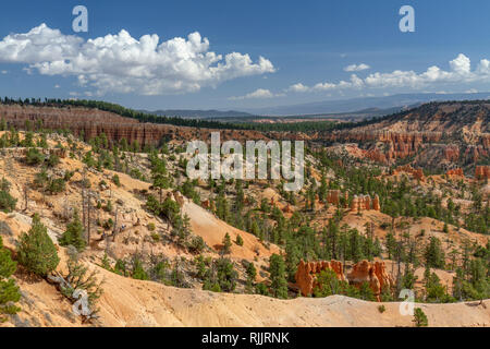 Vista verso la muraglia cinese (cercando circa a nord) dal punto di vista di Sunrise con piloti del Cavallino, Parco Nazionale di Bryce Canyon, Utah, Stati Uniti. Foto Stock