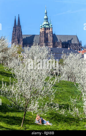 Alberi in fiore nella collina di Petrin Praga Primavera coppia Castello di Praga Cattedrale Praga romantica coppia Giardini Petrin Praga Parco della città Petrin aprile Foto Stock