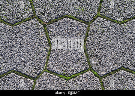 Dettaglio di un marciapiede con moss in crescita in spazi vuoti tra il grigio pietre per pavimentazione Foto Stock