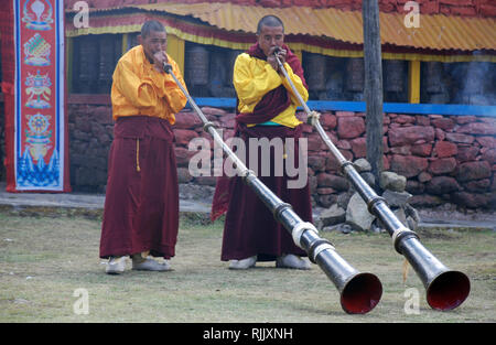 I monaci buddisti del tempio play trombe presso il monastero di Olangchung Gola in Nepal Foto Stock