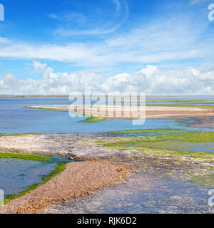 Salt Lake con fango curativo e minerale Foto Stock