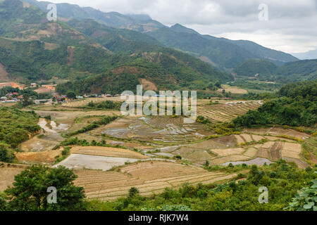 Bellissimo paesaggio, campi di riso in autunno contro lo sfondo delle montagne, Dien Bien provincia, Vietnam Foto Stock