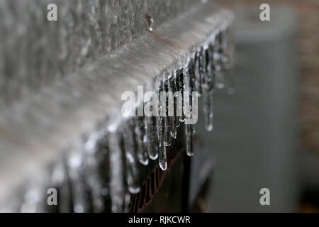 London, Ontario, Canada. Il 6 febbraio, 2019. Le scuole sono state chiuse e il traffico è stato ritardato come temperature di -5 e pioggia rivolta a sud Western Ontario in e pista di pattinaggio sul ghiaccio. Credito: Luca Durda/Alamy Live News Foto Stock