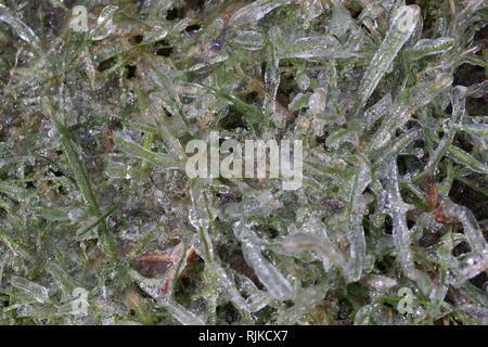 London, Ontario, Canada. Il 6 febbraio, 2019. Le scuole sono state chiuse e il traffico è stato ritardato come temperature di -5 e pioggia rivolta a sud Western Ontario in e pista di pattinaggio sul ghiaccio. Credito: Luca Durda/Alamy Live News Foto Stock