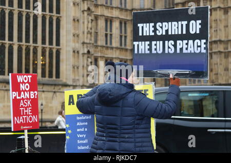 Londra, Regno Unito. 6 febbraio, 2019. Un dimostrante visto con una targhetta durante le proteste. Pro e manifestanti Anti-Brexit continuare a protestare fuori le case del Parlamento, Westminster. Credito: Keith Mayhew/SOPA Immagini/ZUMA filo/Alamy Live News Foto Stock