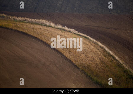 Campo d'autunno in Moravia del sud in una zona chiamata anche Toscana moravo Foto Stock