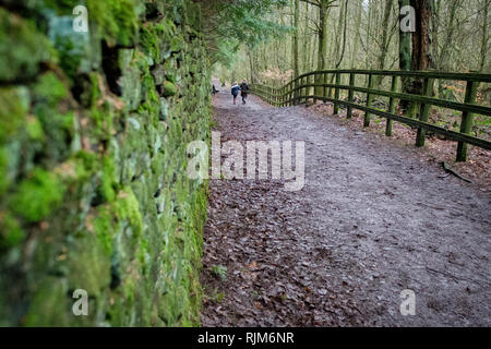 Due ragazze camminare in St Ives Estate in Bingley, Bradford, West Yorkshire. Foto Stock