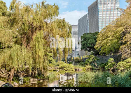 Hibiya Park (Hibiyakoen) a Chiyoda-ku in autunno, Tokyo, Giappone Foto Stock