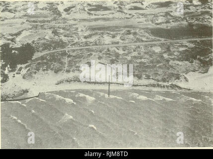 . Spiaggia di modifiche del profilo - costa est del lago Michigan, 1970-72. Spiaggia di erosione costiera; modifiche. Geomorfologia. Spiaggia di Big Sable Point ha un litorale di orientamento N.7°E. Questa parte della parte orientale del lago Michigan costa è una delle più vaste aree di dune. Le Dune si estendono per diversi chilometri in entrambe le direzioni dalla Grande Punto Sable e a poche miglia di navigazione in corrispondenza del punto. Le dune sono ricoperte di erba e piccoli arbusti. Praticamente nessuna ghiaia è stata trovata, riflettendo la prossimità alle dune. Bench Mark Ubicazione (3 agosto 1970) (SlVs, HV'-i, s. 7, T.19 N. , R.18 W.). Circa 300 yard, a sud del faro di grande Sa Foto Stock