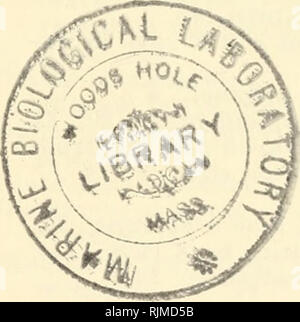 . Meccanismi di base in radiobiologia II. fisica e chimica. atti di una conferenza informale tenutosi a Highland Park, Illinois, 7-9 maggio 1953. Radiobiologia; gli effetti delle radiazioni. 133 riferimenti (17) COHN, M. e Torriani, A. M. •Studi immunochimica con il beta-galattosidasi e Structurally-Related proteine di Escherichia coli." /. Immunol. 69, 471 (1952) (18) SCHOLES, G. e Weiss J. "azione chimica delle radiazioni ionizzanti sugli acidi nucleici in sistemi acquosi." La natura 166, 640 (1950) (19) HART, E. J. "la coppia di radicali resa delle radiazioni ionizzanti in soluzione acquosa S Foto Stock