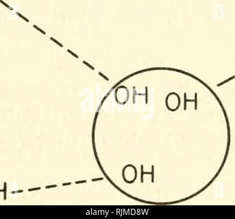 . Meccanismi di base in radiobiologia II. fisica e chimica. atti di una conferenza informale tenutosi a Highland Park, Illinois, 7-9 maggio 1953. Radiobiologia; gli effetti delle radiazioni. H ^H. y H. Si prega di notare che queste immagini vengono estratte dalla pagina sottoposta a scansione di immagini che possono essere state migliorate digitalmente per la leggibilità - Colorazione e aspetto di queste illustrazioni potrebbero non perfettamente assomigliano al lavoro originale. Consiglio Nazionale delle Ricerche (brevetto statunitense n. S. ). Il sottocomitato per la radiobiologia. Washington : Consiglio Nazionale delle Ricerche Foto Stock