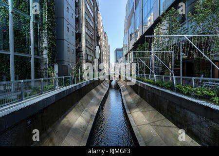 Shibuya fiume nella parte anteriore del flusso di Shibuya, Shibuya-Ku, Tokyo, Giappone Foto Stock