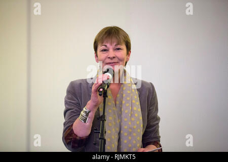 Caroline Lucas MP parla alla conferenza del dado in Brighton on April 19, 2014. Foto Stock