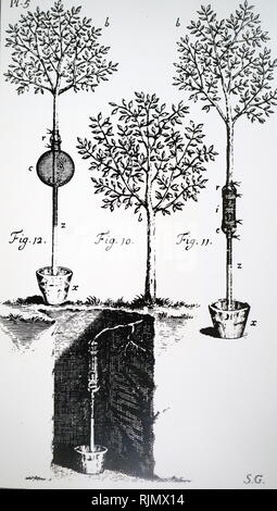 Una incisione raffigurante Stephen Hales" (1677-1761); esperimenti per determinare l ' forza con cui sap sorge nelle piante. Da Robert John Thornton il tempio di Flora, London, 1727 Foto Stock